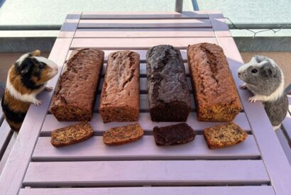 Thumbnail for The Banana Bread Benchmark 2026 Recipes